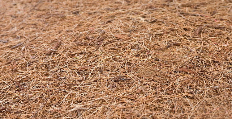 Dětská matrace aloe kokos,pěna,kokos, Aloe LUXE - 120x60x11cm