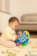 Edukační hudební hračka, TOYZ - Rybka (573427)