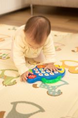 Edukační hudební hračka, TOYZ - Rybka (573428)